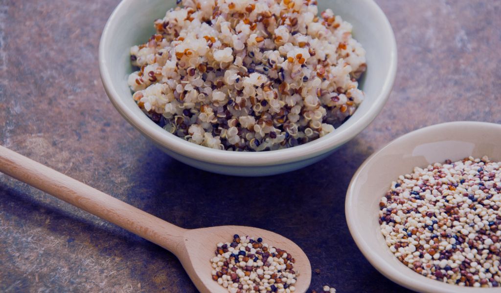 ¿Pueden los perros comer quinoa?